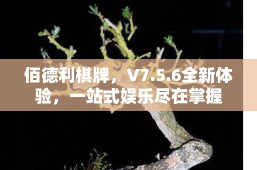 一站式娱乐尽在掌握图片