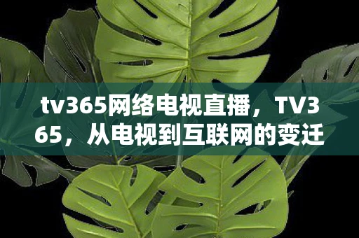 tv365网络电视直播,TV365,从电视到互联网的变迁与未来展望 tv365网络电视直播,TV365,从电视到互联网的变迁与未来展望