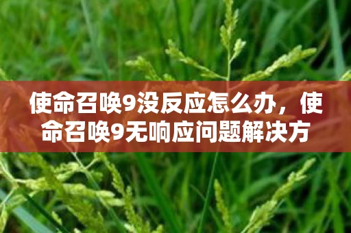 使命召唤9没反应怎么办，使命召唤9无响应问题解决方案