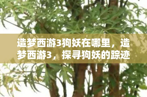 造梦西游3狗妖在哪里,造梦西游3,探寻狗妖的踪迹 造梦西游3狗妖在哪里,造梦西游3,探寻狗妖的踪迹