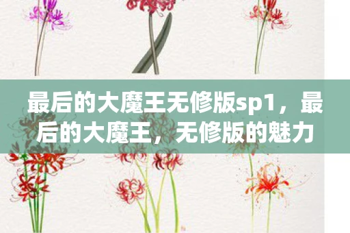 最后的大魔王无修版sp1,最后的大魔王,无修版的魅力与探索 最后的大魔王无修版sp1,最后的大魔王,无修版的魅力与探索