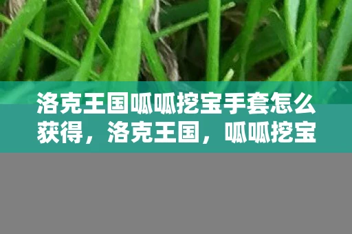 洛克王国呱呱挖宝手套怎么获得，洛克王国，呱呱挖宝手套的神秘魅力