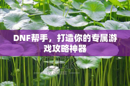 DNF帮手，打造你的专属游戏攻略神器