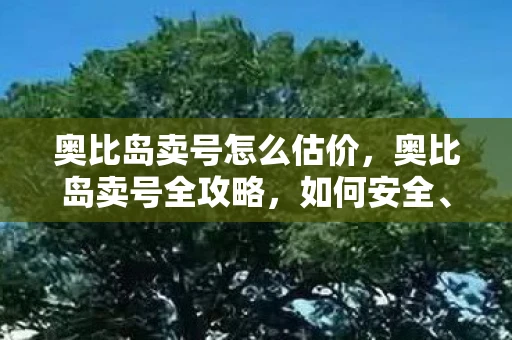 奥比岛卖号怎么估价，奥比岛卖号全攻略，如何安全、高效地出售你的账号