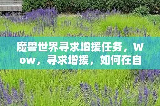 魔兽世界寻求增援任务,Wow,寻求增援,如何在自媒体领域实现突破与成长 魔兽世界寻求增援任务,Wow,寻求增援,如何在自媒体领域实现突破与成长