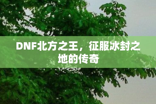征服冰封之地的传奇图片
