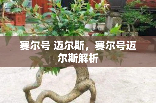 赛尔号 迈尔斯,赛尔号迈尔斯解析 赛尔号 迈尔斯,赛尔号迈尔斯解析