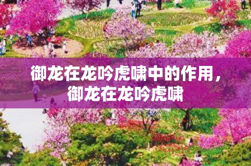 御龙在龙吟虎啸中的作用,御龙在龙吟虎啸 御龙在龙吟虎啸中的作用,御龙在龙吟虎啸