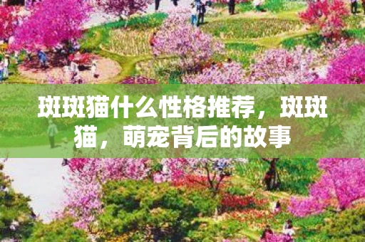 斑斑猫什么性格推荐，斑斑猫，萌宠背后的故事