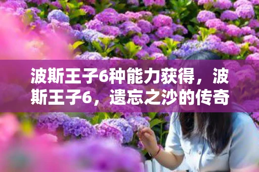 波斯王子6种能力获得，波斯王子6，遗忘之沙的传奇