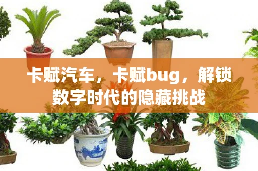 卡赋汽车,卡赋bug,解锁数字时代的隐藏挑战 卡赋汽车,卡赋bug,解锁数字时代的隐藏挑战