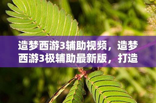 造梦西游3辅助视频，造梦西游3极辅助最新版，打造你的专属西游冒险之旅