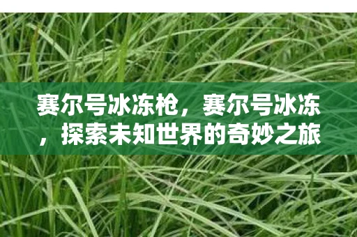 赛尔号冰冻枪，赛尔号冰冻，探索未知世界的奇妙之旅