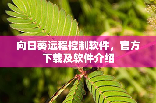向日葵远程控制软件图片