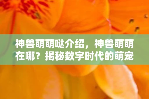 神兽萌萌哒介绍，神兽萌萌在哪？揭秘数字时代的萌宠新宠