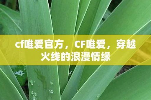 cf唯爱官方，CF唯爱，穿越火线的浪漫情缘