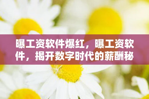 曝工资软件爆红，曝工资软件，揭开数字时代的薪酬秘密