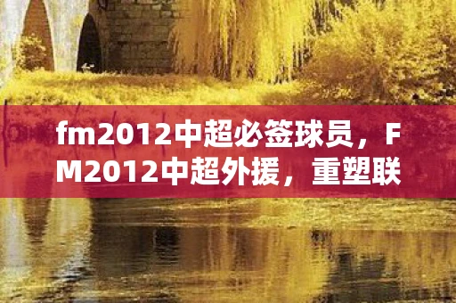 fm2012中超必签球员,FM2012中超外援,重塑联赛格局的强力外援 fm2012中超必签球员,FM2012中超外援,重塑联赛格局的强力外援