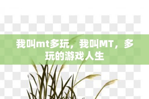 我叫mt多玩，我叫MT，多玩的游戏人生