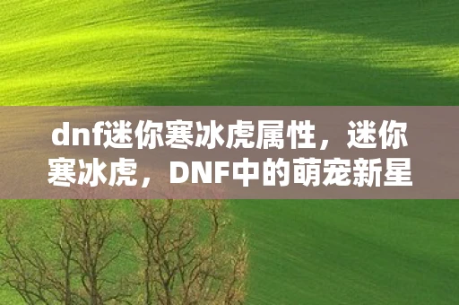 dnf迷你寒冰虎属性，迷你寒冰虎，DNF中的萌宠新星