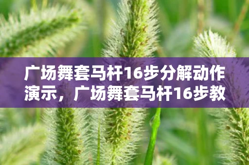 广场舞套马杆16步分解动作演示，广场舞套马杆16步教学详解
