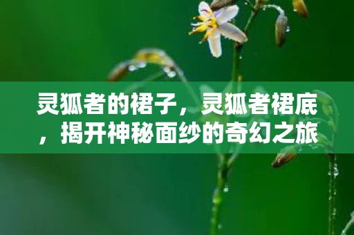 灵狐者的裙子，灵狐者裙底，揭开神秘面纱的奇幻之旅