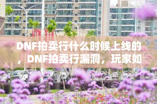 DNF拍卖行什么时候上线的，DNF拍卖行漏洞，玩家如何从中获利？