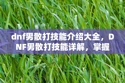 dnf男散打技能介绍大全,DNF男散打技能详解,掌握核心技能,打造无敌连击 dnf男散打技能介绍大全,DNF男散打技能详解,掌握核心技能,打造无敌连击