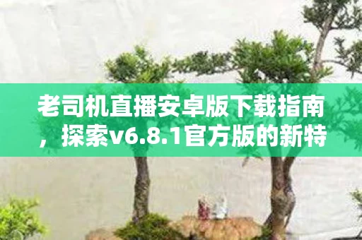 老司机直播安卓版下载指南图片