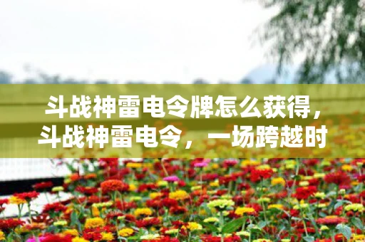 斗战神雷电令牌怎么获得,斗战神雷电令,一场跨越时空的冒险之旅 斗战神雷电令牌怎么获得,斗战神雷电令,一场跨越时空的冒险之旅