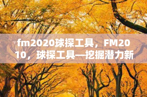 fm2020球探工具，FM2010，球探工具—挖掘潜力新星，打造梦幻阵容