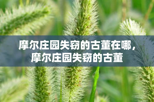 摩尔庄园失窃的古董在哪，摩尔庄园失窃的古董