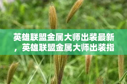 英雄联盟金属大师出装最新,英雄联盟金属大师出装指南,打造无敌战斗机器 英雄联盟金属大师出装最新,英雄联盟金属大师出装指南,打造无敌战斗机器