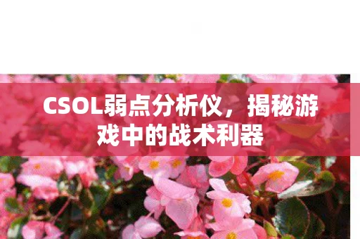 揭秘游戏中的战术利器图片