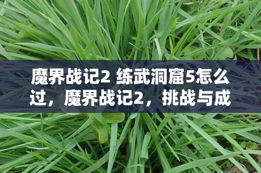 魔界战记2 练武洞窟5怎么过,魔界战记2,挑战与成长的冒险之旅 魔界战记2 练武洞窟5怎么过,魔界战记2,挑战与成长的冒险之旅