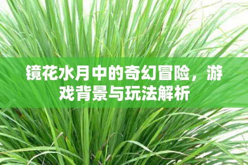 镜花水月中的奇幻冒险图片