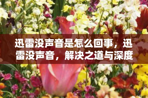 迅雷没声音是怎么回事，迅雷没声音，解决之道与深度解析