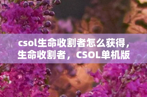 csol生命收割者怎么获得，生命收割者，CSOL单机版的终极挑战