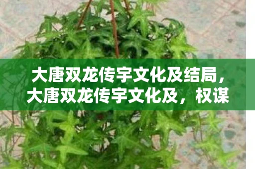 大唐双龙传宇文化及结局，大唐双龙传宇文化及，权谋与忠诚的交织