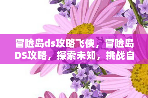 冒险岛ds攻略飞侠,冒险岛DS攻略,探索未知,挑战自我 冒险岛ds攻略飞侠,冒险岛DS攻略,探索未知,挑战自我