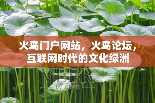 火鸟门户网站，火鸟论坛，互联网时代的文化绿洲