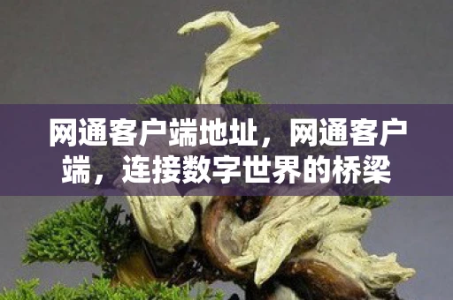 网通客户端地址，网通客户端，连接数字世界的桥梁