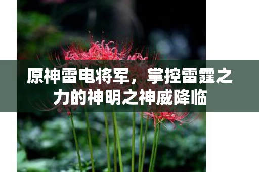 掌控雷霆之力的神明之神威降临图片