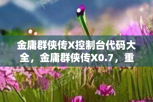 金庸群侠传X控制台代码大全,金庸群侠传X0.7,重温经典,再续江湖梦 金庸群侠传X控制台代码大全,金庸群侠传X0.7,重温经典,再续江湖梦
