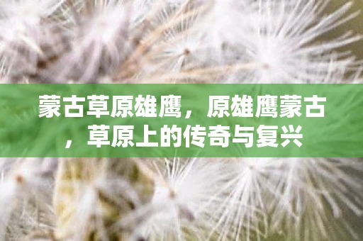 蒙古草原雄鹰，原雄鹰蒙古，草原上的传奇与复兴