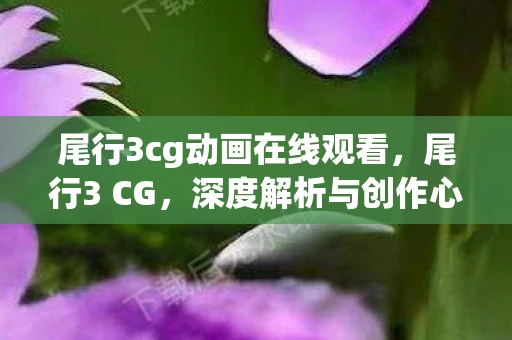 尾行3cg动画在线观看，尾行3 CG，深度解析与创作心得