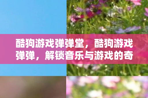 酷狗游戏弹弹堂，酷狗游戏弹弹，解锁音乐与游戏的奇妙融合