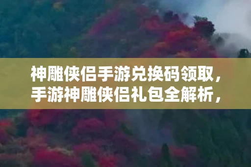 神雕侠侣手游兑换码领取，手游神雕侠侣礼包全解析，解锁江湖新体验
