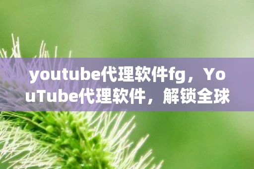 youtube代理软件fg，YouTube代理软件，解锁全球内容的秘密武器