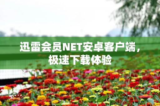 迅雷会员NET安卓客户端图片
